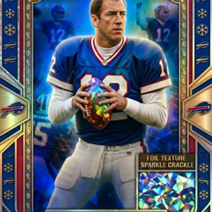 Buffalo Bills 67th Anniversary Trading Cards 8
