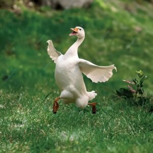 Goose Decorative Garden Stakes