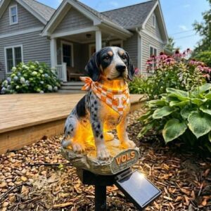 Tennessee Volunteers 135th Anniversary Solar Garden Light 3