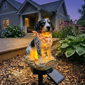 Tennessee Volunteers 135th Anniversary Solar Garden Light
